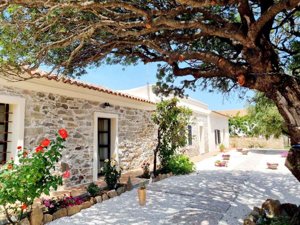 דירות Stazzo San Teodoro La Quercia Piscina Condivisa מראה חיצוני תמונה